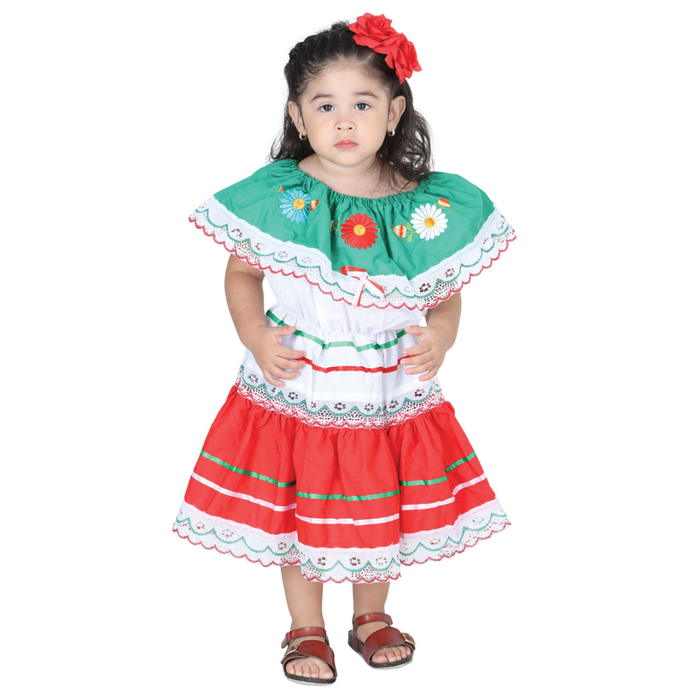 Artisanal Embroidered Dress- Tricolor