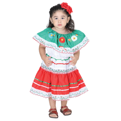 Artisanal Embroidered Dress- Tricolor