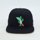 VBR Baja California black snapback cap front view with cactus and Baja California design