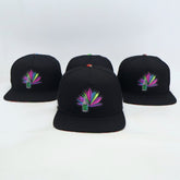 VBR Chihuahua Sotol black snapback cap front view with colorful sotol bottle and agave patch