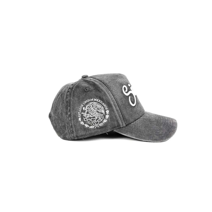 Forty Five "Mexico" Cap- Gray Stone/ White