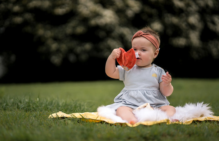 Ladybug Scrunchie Toy